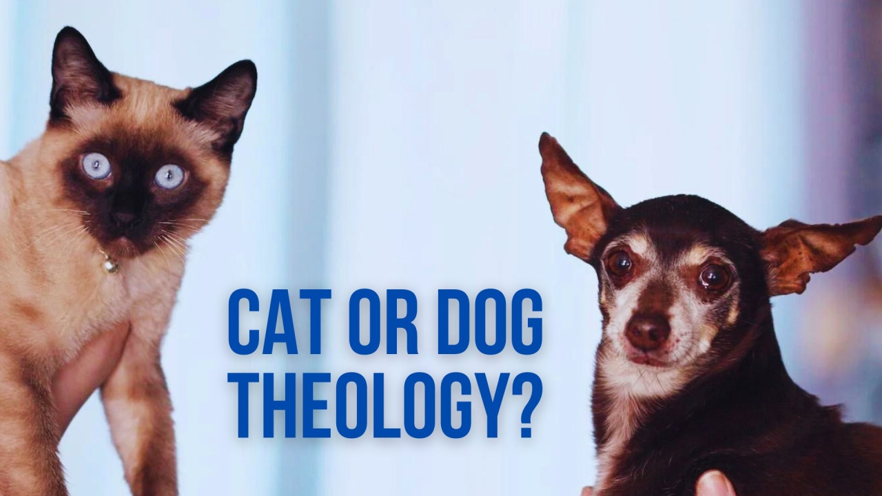 Cat vs. Dog Theology