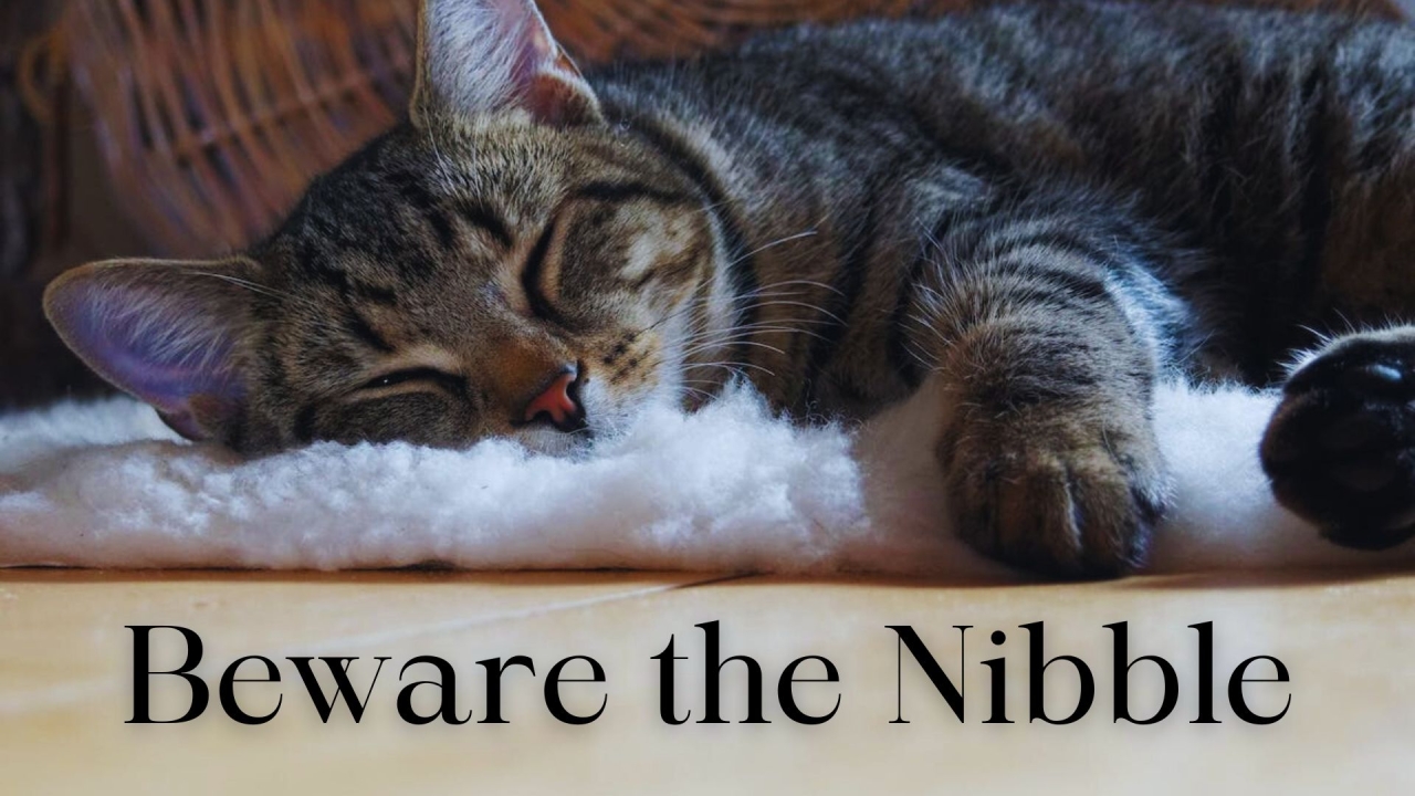 Beware the Nibble