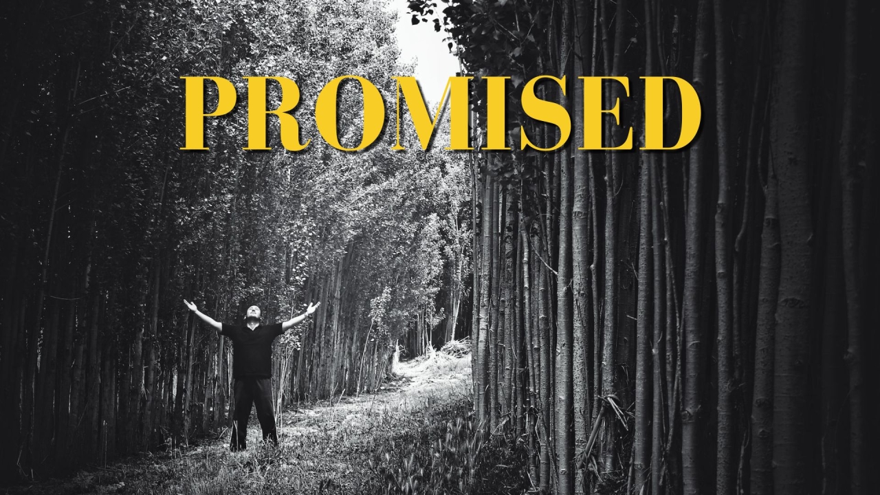 PROMISED