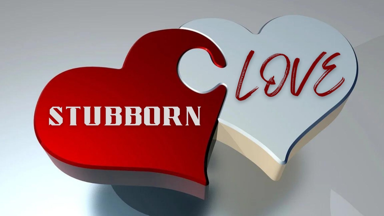 Stubborn Love